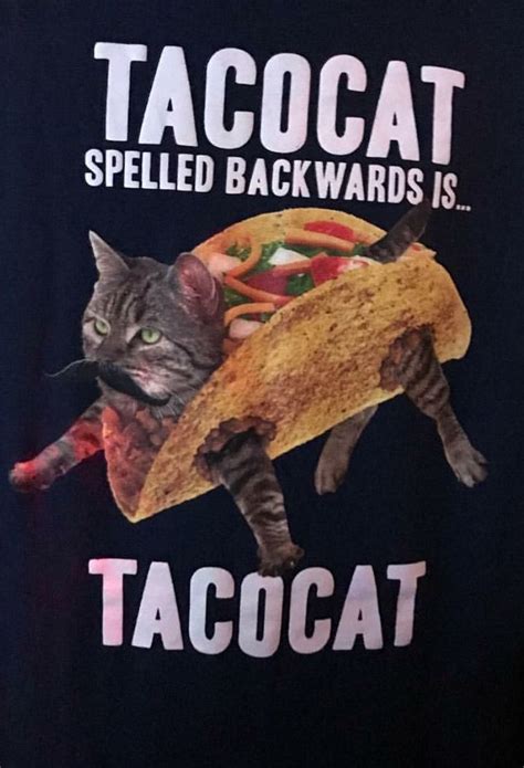 Taco Cat funny | Taco cat, Kittens funny, Funny