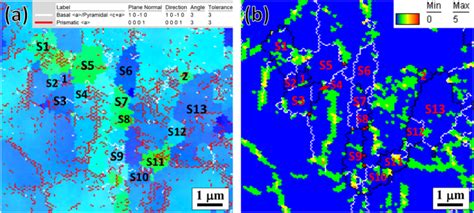 Correlation between dynamic recrystallization and formation of rare ...