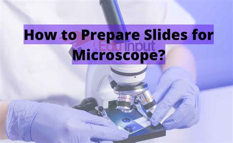 How to Prepare Slides for Microscope?