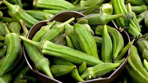 Okra - Nutrition Facts - Okra Uses, Health Benefits and Side Effects