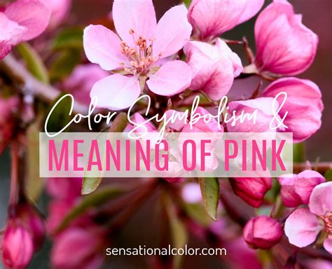 Meaning Of Pink: Color Psychology And Symbolism - Sensational Color