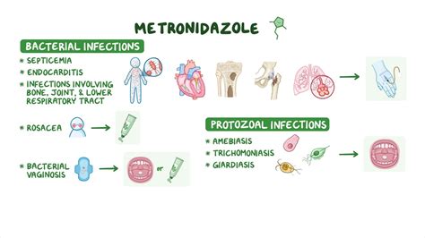 Antibiotics - Metronidazole: Nursing pharmacology - Osmosis Video Library