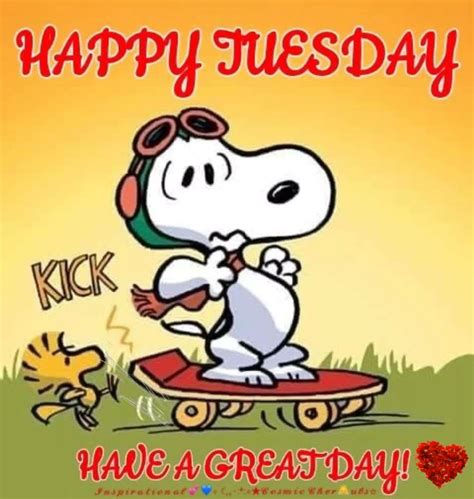 Happy Tuesday ️ [Video] | Good morning snoopy, Happy tuesday morning ...