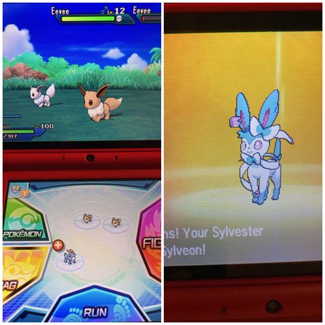 [7] My first shiny Eevee! Decide to evolve him into Sylveon, my ...