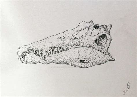 Spinosaurus Skull by TheCuriousPumpkin on DeviantArt