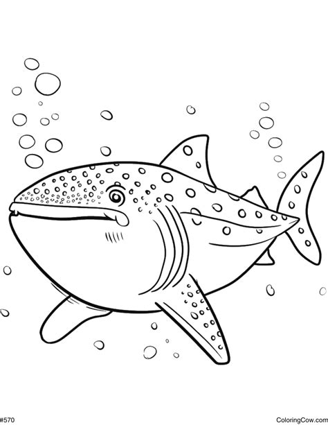 Whale Shark Coloring Page