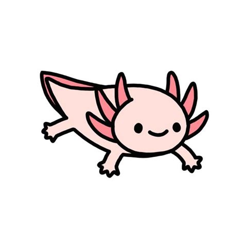 23+ cartoon axolotl drawing - OttavioTomi