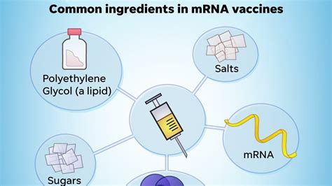 What to know about COVID-19 vaccine ingredients, allergic reactions