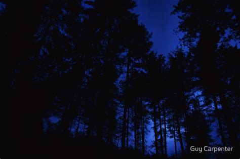 "Moonlit Forest" by Guy Carpenter | Redbubble