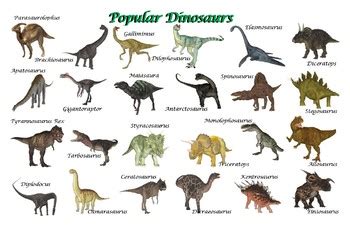 Popular Dinosaurs Poster: "Ledger/Tabloid" (11 x 17 inches) | TpT