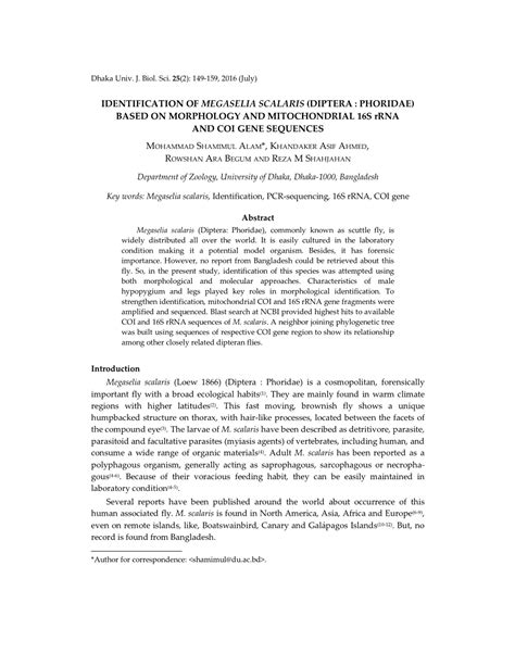 IDENTIFICATION of MEGASELIA SCALARIS (DIPTERA : PHORIDAE) BASED on MORPHOLOGY and MITOCHONDRIAL ...