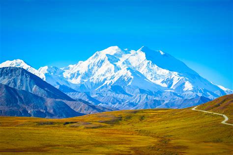 5 Things to Do in Denali National Park When You Visit