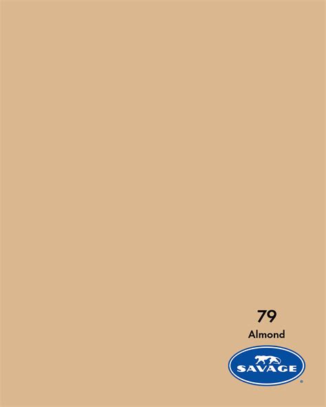 Savage Seamless Paper Background – #79 Almond