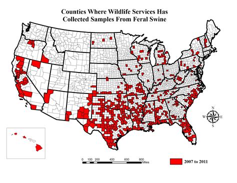 Florida Wild Hog Population Map Printable Maps | Wells Printable Map