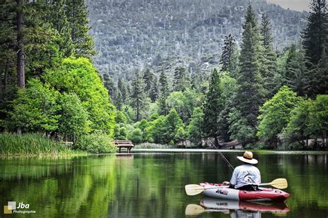 Julien Bagnard - Photographie | San bernardino national forest, Places to go, Beautiful places