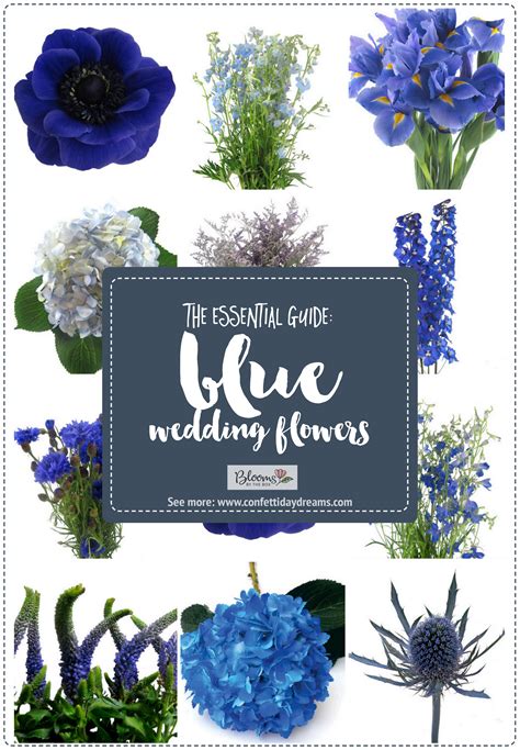 Essential Blue Wedding Flowers Guide: Types, Names, Seasons + Pics