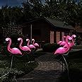 Amazon.com : Geelin 6 Packs Pink Flamingo Garden Solar Light Decoration Ip55 Waterproof Outdoor ...