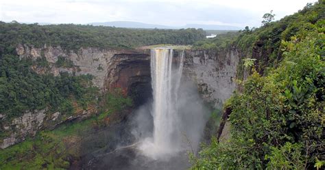 Guianan Highlands Moist Forests | One Earth