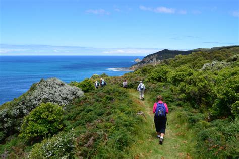 The Great Ocean Walk - Everything you need to know | Inspiration Outdoors