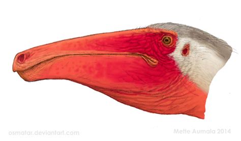 Deinocheirus portrait WIP by Osmatar on DeviantArt