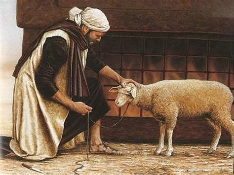 Why a Lamb for the Daily Tamid Sacrifice? Six Reasons by the Alter Rebbe