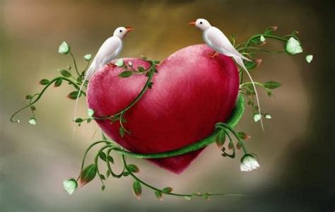 Wallpapers Of Love Birds - Wallpaper Cave