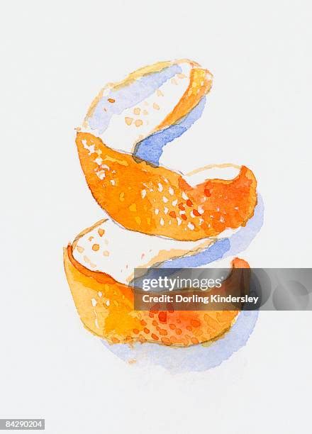 123 Orange Peel Art Stock Photos, High-Res Pictures, and Images - Getty ...