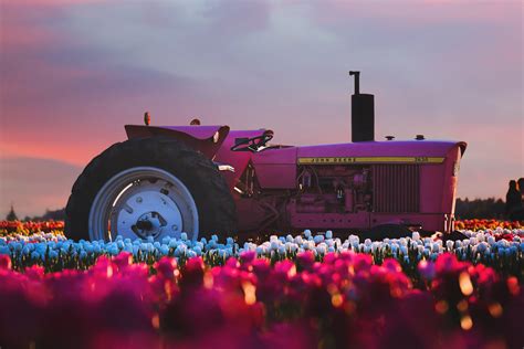 John Deere Tractor In Flower Farm 4k Wallpaper,HD Photography Wallpapers,4k Wallpapers,Images ...