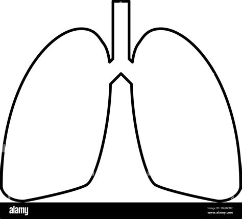 Aggregate more than 133 lungs easy drawing best - seven.edu.vn