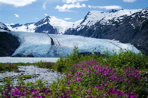 Hiking - Portage Glacier Trail (all the way to the beach) | Guide for Alaska's Disappearing Tourists