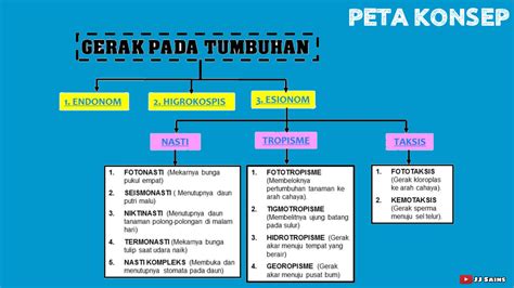 Peta Konsep Tumbuhan - Homecare24