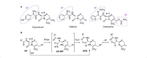 | Structure and reactivity of cephalosporins in the presence of thiols.... | Download Scientific ...