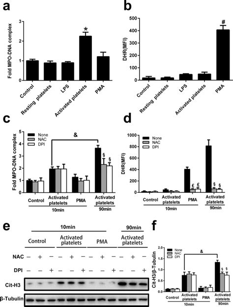 Early/rapid NETosis mechanism triggered by LPS-stimulated platelets ...