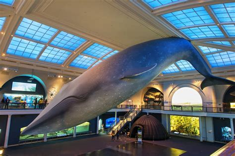 A Guide to the Best Museums in NYC