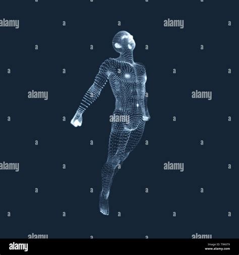 3D Model of Man. Human Body. Design Element. Vector Illustration Stock Vector Image & Art - Alamy