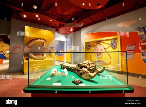 Thackray Medical Museum interior shot of themed areas Stock Photo - Alamy