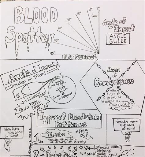 Sketch notes in forensics blood and bloodstain pattern analysis – Artofit