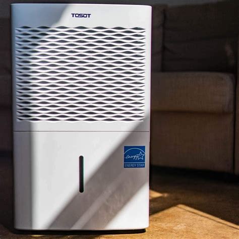 Top 5 Best Dehumidifiers for Basement - SolidSmack