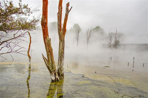 Rotorua Water Hot Spring - Free photo on Pixabay