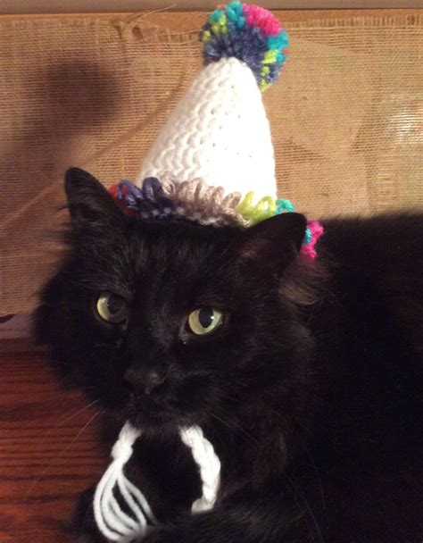 Birthday Hat Happy Birthday Hats for Cats Cat Costumes Pet | Etsy