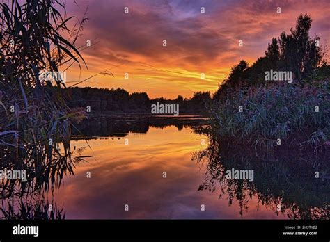 Sunset at the forest lake Stock Photo - Alamy