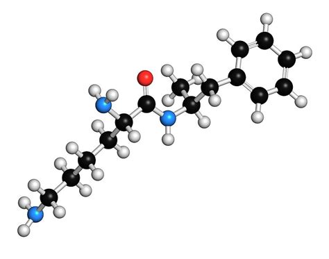 Lisdexamfetamine Mesylate Adhd Drug Photograph by Molekuul - Pixels