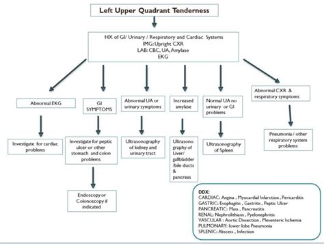 An algorithm for left upper quadrant tenderness (IMG: Imaging; LAB:... | Download Scientific Diagram
