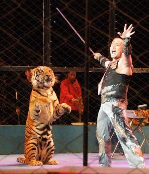 PETA and German Circus Owner Agree About Tigers | PETA