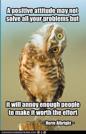 A positive attitude may not solve all your problems but | Burrowing owl, Owl, Animals