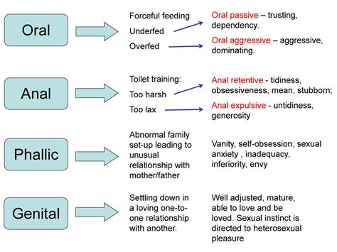 Freud's Stages of Human Development: 5 Psychosexual Stages