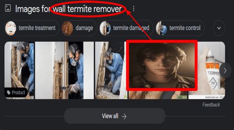 wall termite remover : r/okbuddychicanery