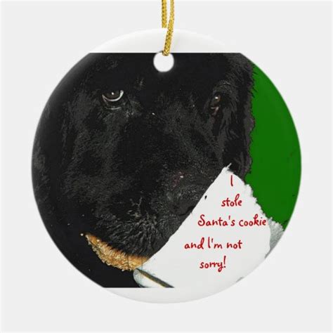 Newfoundland dog Christmas ornament | Zazzle