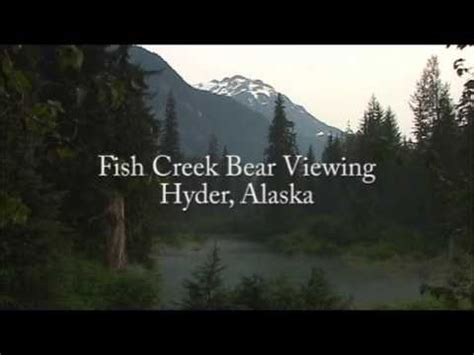 Bear Viewing - Hyder, Alaska - YouTube