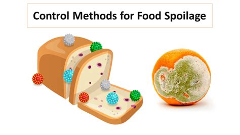 Food Spoilage Bacteria